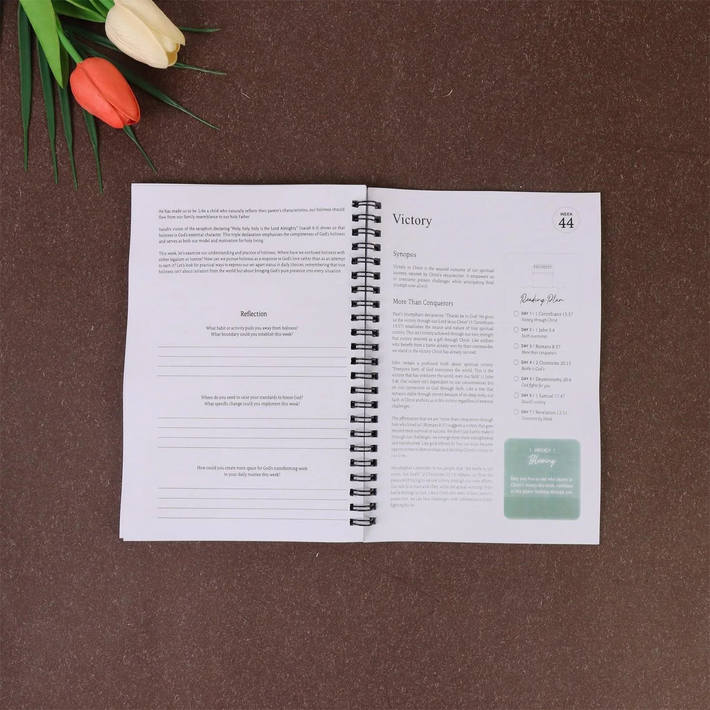 Women's One Year Bible Reading/Notes | 52 Week Christian Spiritual Guide | Daily Scripture Reading and Writing Practice Logbook