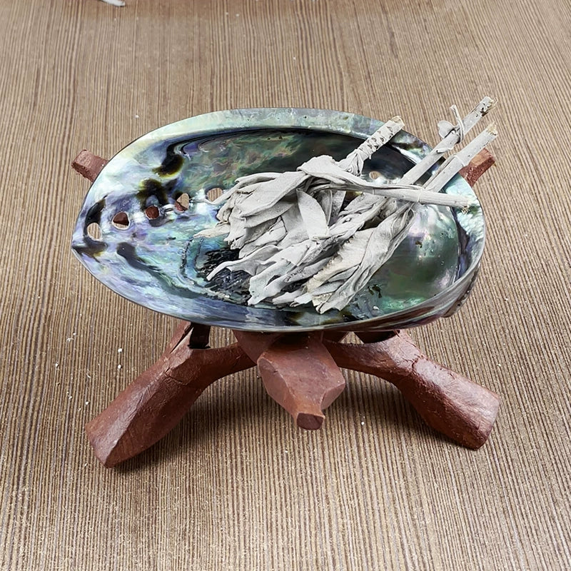 Abalone Shell Bracket Holy Wood Frame Solid Wood Bracket California White Shell Bracket Vessel Burning Plate Aromatherapy