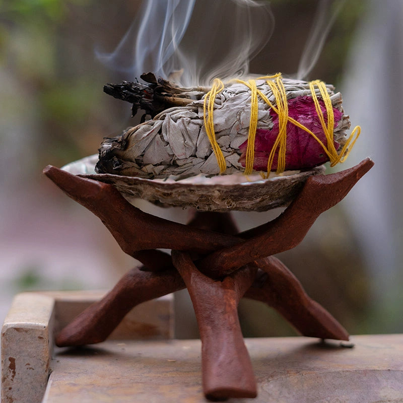 Abalone Shell Bracket Holy Wood Frame Solid Wood Bracket California White Shell Bracket Vessel Burning Plate Aromatherapy