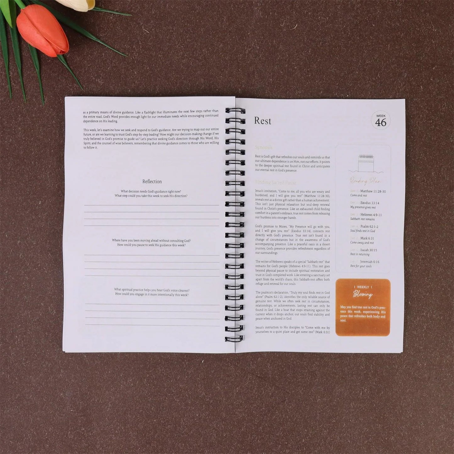 Women's One Year Bible Reading/Notes | 52 Week Christian Spiritual Guide | Daily Scripture Reading and Writing Practice Logbook