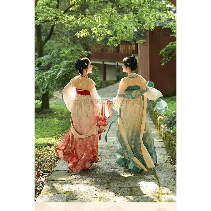Traditional Chinese Women Elegant Hanfu Dress Fairy Embroidery Stage Folk Dance Costume Retro Ancient Song Dynasty Sets