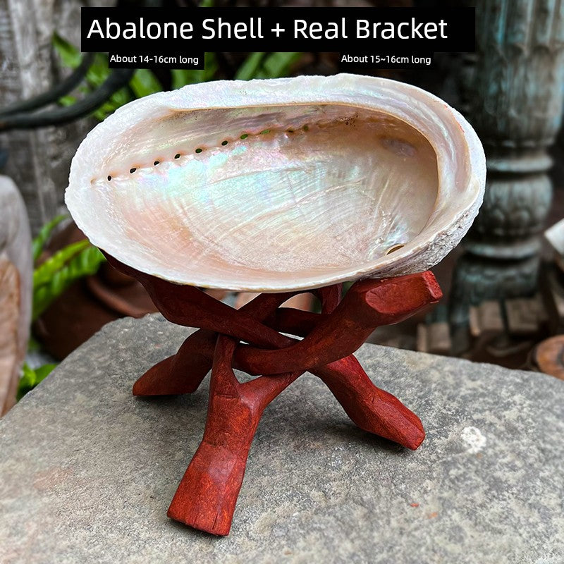 Abalone Shell Bracket Holy Wood Frame Solid Wood Bracket California White Shell Bracket Vessel Burning Plate Aromatherapy